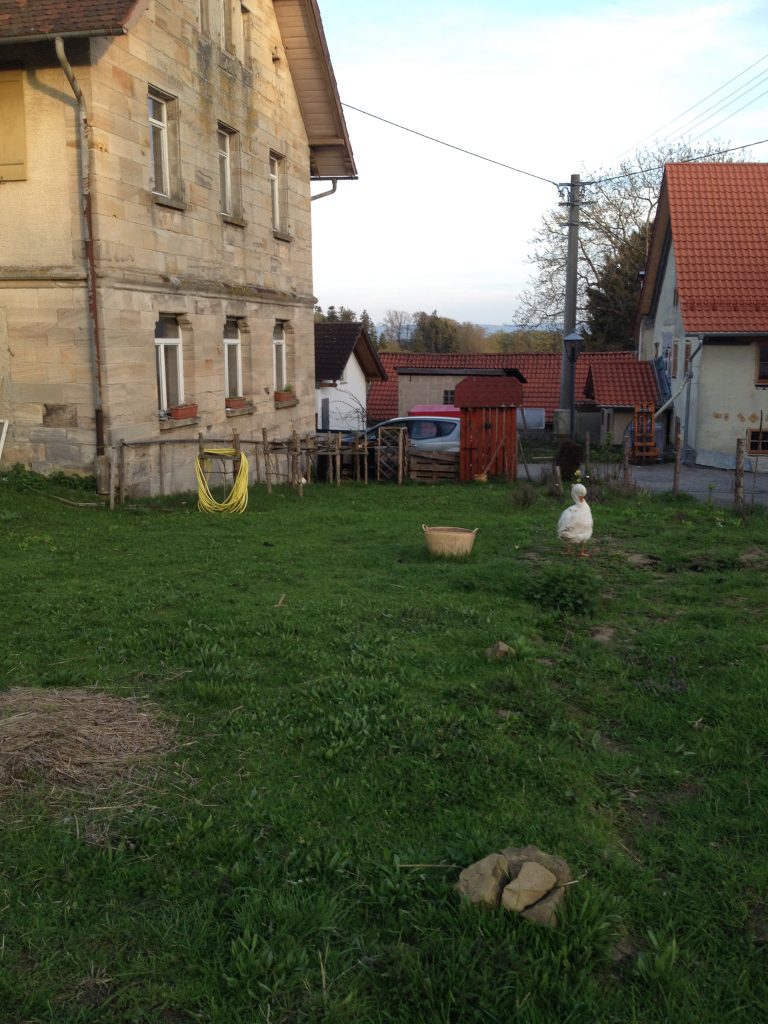 Bild vom alten Schulhaus